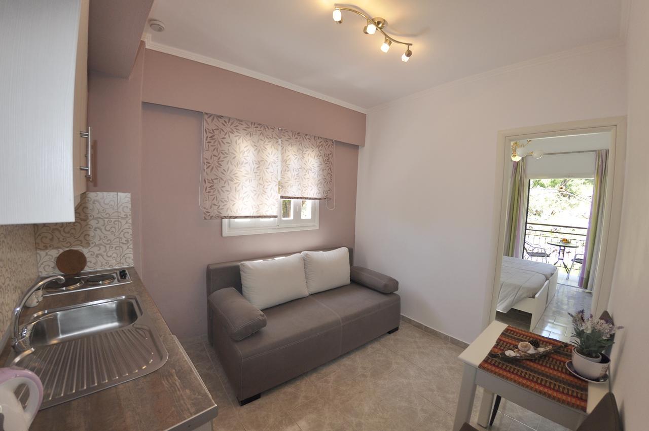 Angels Pool Studios And Apartments باليوكاستريتسا المظهر الخارجي الصورة